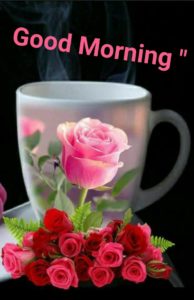 latest good morning wallpaper free download